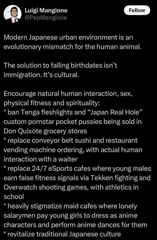 The meme is a screenshot of a Twitter thread that appears to be a rant about modern Japanese culture. The text in the image reads: "Modern Japanese urban environment is an evolutionary mismatch for the human animal... The solution to falling birthdates isn't immigration. It's cultural." The rest of the thread is a list of humorous and satirical suggestions for improving Japanese culture, including things like "replace 24/7 esports cafes where young males earn false fitness signals via Tekken fighting and Overwatch shooting games, with athletics in school" and "heavily stigmatize maid cafes where lonely salarymen pay young girls to dress as anime characters and perform anime dances for them."
