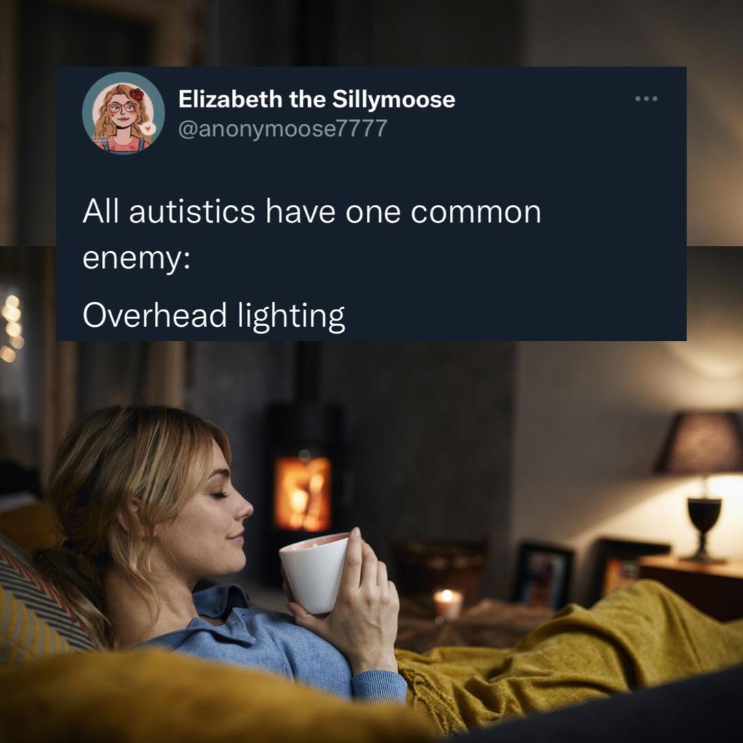 This meme is a humorous observation about the common struggles of autistic individuals. It states that "all autistics have one common enemy: overhead lighting" and implies that it's a frustrating and annoying aspect of life for many autistic people.
