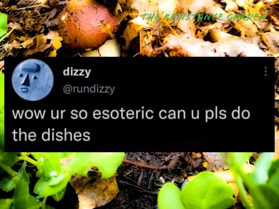 This meme is a humorous response to a common phrase used to ask someone to do the dishes. The image is a screenshot of a Twitter post that reads "wow ur so esoteric can u pls do the dishes". The phrase "esoteric" is used to imply that the person is being overly pretentious or using complex language to ask for a simple task.