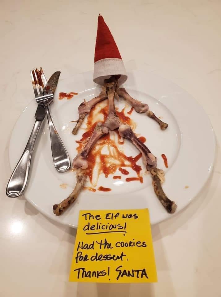 This meme is a humorous image of a plate with a few bones and some sauce, arranged to resemble a small elf. The text at the bottom of the image reads: "The Elf was delicious! I ate him for dessert. Thanks, Santa."
