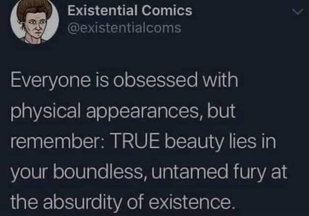 The meme is a screenshot of a tweet from the Twitter account @ExistentialComics. The text reads: "Everyone is obsessed with physical appearances, but remember: true beauty lies in your inner self. In your most vulnerable moments, you are more beautiful than you are when you are trying to be someone else. Don't be fooled by the people who are not like you. They are not like you and they will never be like you."