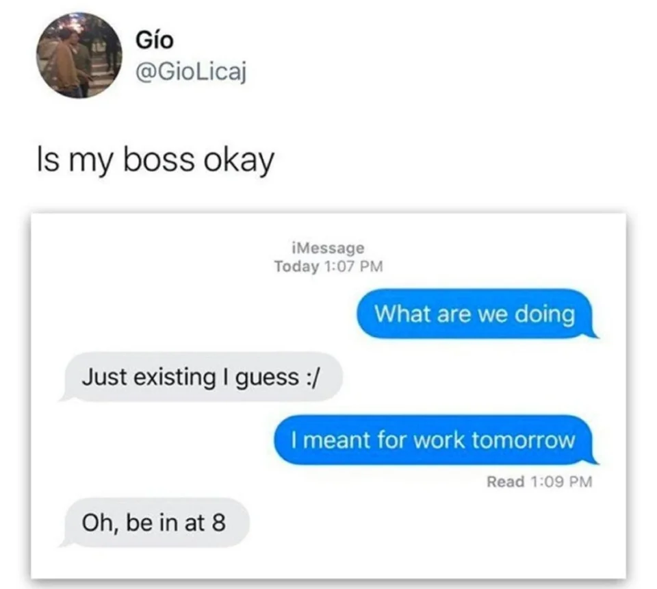 This meme is a screenshot of a text conversation between two people. One person asks "Is my boss okay?" and the other responds with a series of sarcastic and humorous messages, including "I'm fine" and "I'm going to get fired". The conversation is presented in a humorous and relatable way, poking fun at the idea of a boss's well-being.