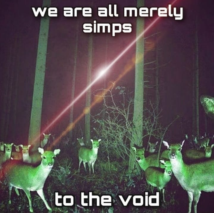 This meme is a picture of a group of deer in a forest at night, illuminated by a bright light. The image is captioned "we are all merely simps to the void" and is a humorous take on the idea that even the most powerful and intelligent beings in the universe are ultimately insignificant and subject to the whims of the universe.