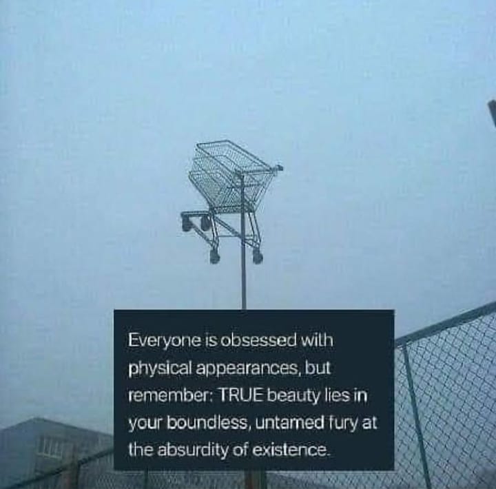This meme is an image of a shopping cart stuck in a tree, with a text overlay that reads: "Everyone is obsessed with physical appearances, but remember: TRUE beauty lies in your ability to get a shopping cart stuck in a tree." The image is humorous and absurd, poking fun at the idea that people often focus on physical beauty, but the real challenge is getting a shopping cart to stay in a tree.