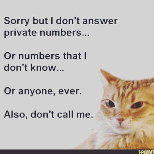 This meme features a photo of a cat with a skeptical expression. The text accompanying the image reads: "Sorry, but I don't answer private numbers... or numbers that I don't know... or anyone, ever. Also, don't call me." The meme is a humorous way to express annoyance at unwanted phone calls.