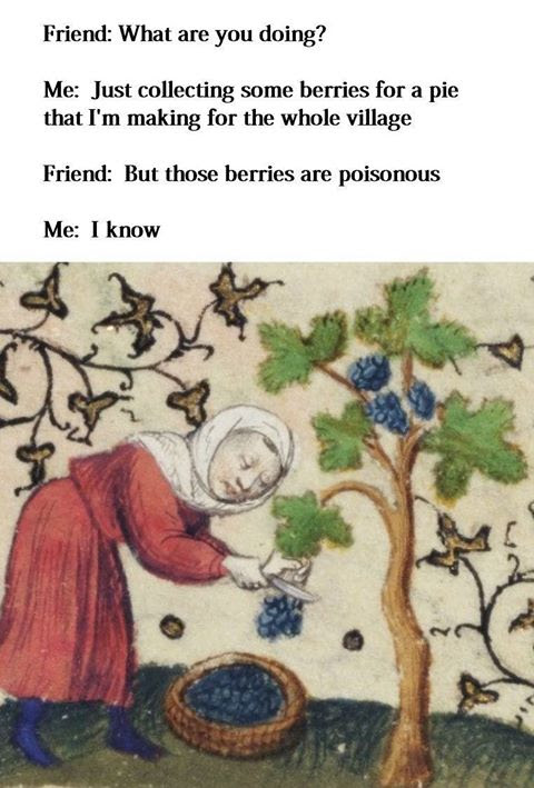 This meme is a humorous exchange between two people. The first person asks their friend what they're doing, and the friend responds with a joke about collecting berries, but then reveals that they're actually collecting poisonous berries. The text in the image is: "Me: I'm collecting berries for the pie that I'm making for the village. Friend: But those berries are poisonous. Me: I know."