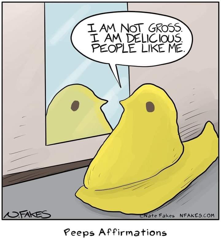 This meme features a Peeps candy (a marshmallow chick) looking at its reflection in a mirror. The Peeps candy says "I am not gross, I am delicious. People like me." The meme is a humorous take on the common phrase "I am not gross, I am delicious. People like me" and applies it to the typically unpopular and often mocked Peeps candy.
