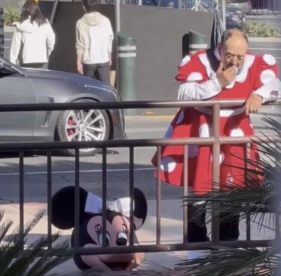 The meme features a picture of a man dressed as Mickey Mouse, but with a scowl on his face, standing behind a railing. He's looking down at something on the ground, and the text "I used to be a role model" appears above his head. The image is likely humorous because it pokes fun at the idea that a beloved character like Mickey Mouse can have a dark or cynical side.