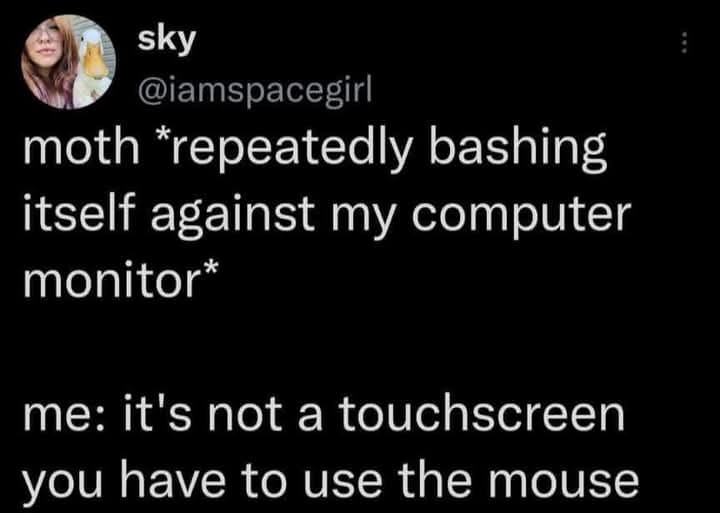 The meme is a humorous exchange between a person and a computer. The person is frustrated with the computer's inability to respond to their mouse clicks, and the computer is responding with a sarcastic remark about the person's ability to use the mouse. The text in the image reads: "moth *repeatedly bashing itself against my computer monitor* me: it's not a touchscreen, you have to use the mouse."