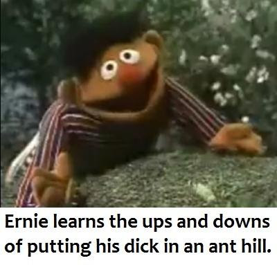 This meme features a screenshot of a character from the children's TV show "Sesame Street" named Ernie, who is known for his mischievous and playful personality. In the image, Ernie is depicted with a shocked and embarrassed expression, with his hands on his face and his eyes wide with surprise. The text overlaid on the image reads: "Ernie learns the ups and downs of putting his dick in an anthill."