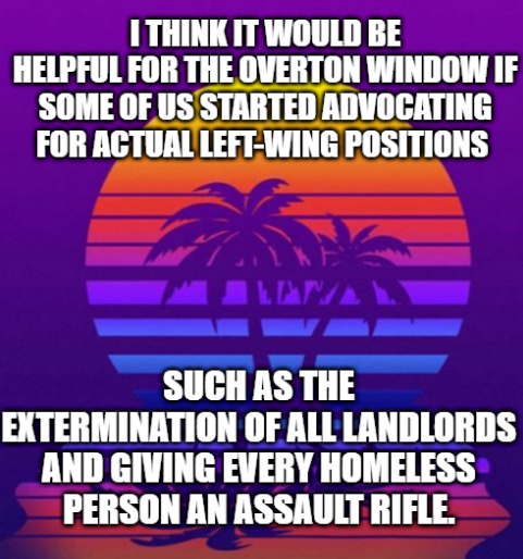 This meme is a humorous image that contrasts the idea of a "left-wing" perspective with a stereotypical image of a tropical paradise. The text reads: "I think it would be helpful for the Overton Window if some of us started advocating for actual left-wing positions such as the extermination of all landlords and giving every homeless person an assault rifle." The image is likely a satirical or absurd illustration, with the text being a tongue-in-cheek commentary on the idea of left-wing politics.