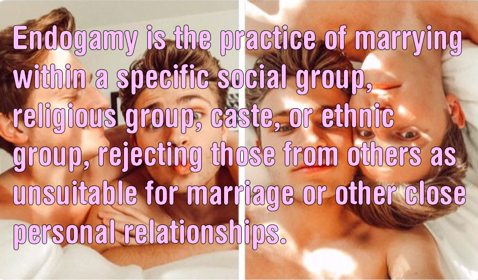 The meme features a photo of a couple in a romantic, intimate moment. The text overlay reads: "Endogamy is the practice of marrying or becoming involved with someone from the same ethnic group, caste, or religion. Endogamy is the practice of marrying or becoming involved with someone from the same ethnic group, caste, or religion."