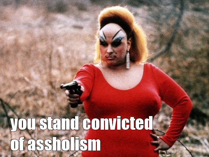 The meme is a photo of a person, likely a drag queen or performer, holding a gun and looking fierce. The image is captioned "you stand convicted of assholism". The meme is likely making a humorous or ironic comment about someone being deemed guilty of being an "asshole", with the image's tone and language adding to the humor.