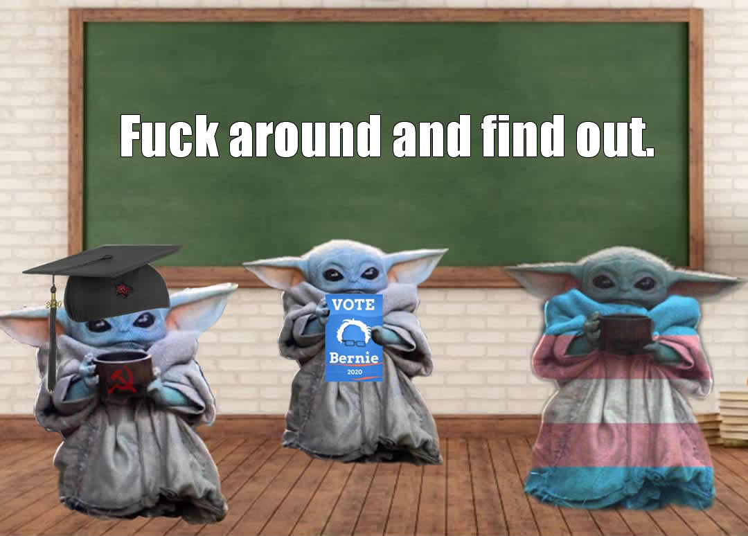 The meme features a cartoon image of a character from the Star Wars franchise, Baby Yoda, dressed in a costume with a "Bernie Sanders 2020" sign and holding a sign that says "I can do that" in a mocking tone. The meme...