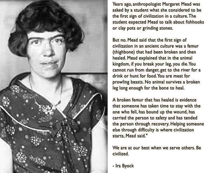 This meme is a humorous take on the idea that humans are the first species to have a culture that is self-aware and has a sense of "cultural" or "civilized" status. The meme uses a quote from Margaret Mead, an anthropologist, to highlight the idea that humans are not the first species to have a culture, and that we are not the first species to have a "cultural" or "civilized" status.  The text of the meme reads: "We are the first species to have a culture. We are the first species to have a culture that is self-aware and has a sense of "cultural" or "civilized" status."