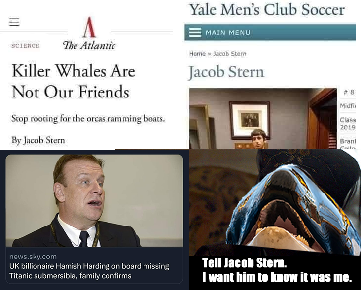 The meme is a screenshot of the Wikipedia page for the 1975 film "Jaws" with a quote from the movie. The quote is "You're gonna need a bigger boat" and is being used in a humorous way to compare the size of the shark...