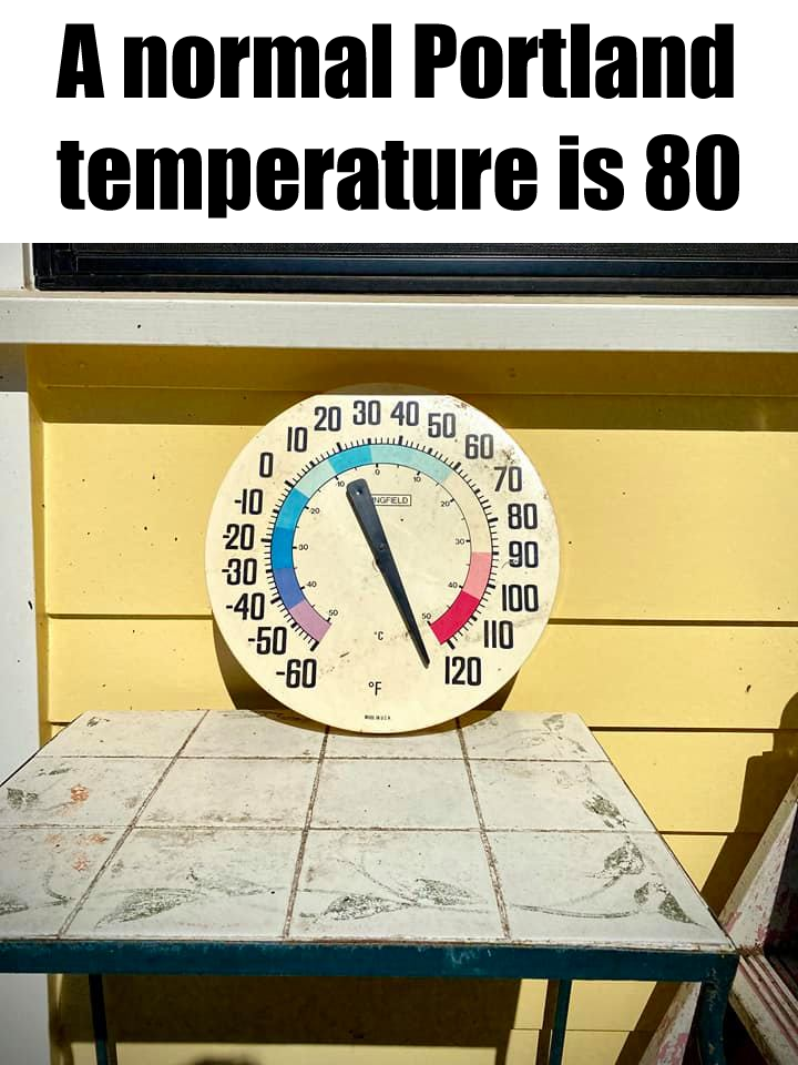 The meme is a photo of a thermometer with the temperature reading "100" and the caption "It's like being in Portland, but not actually being in Portland". The meme is making a humorous comparison between the temperatu...