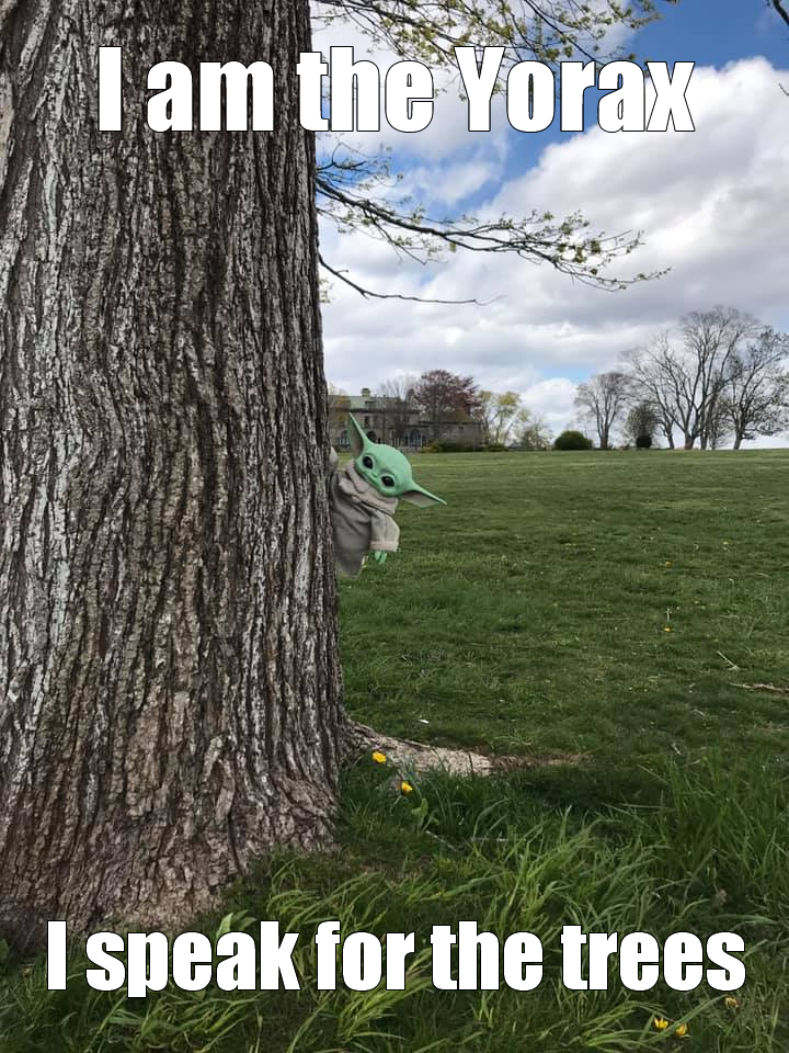 This meme features a photo of a Star Wars character, Grogu (also known as Baby Yoda), sitting on a tree branch and looking at the camera. The image is captioned with the phrase "I am the Yorax" and "I speak for the trees". The meme is a play on a famous line from a 1971 song by the band Led Zeppelin, "I am the Walrus", but with a Star Wars twist.