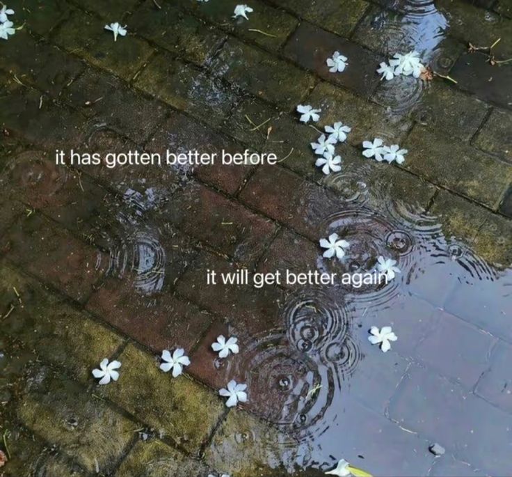 This meme is a humorous take on the concept of "it gets better" - a phrase often used to comfort someone who is struggling. The image shows a person trying to break a glass on the ground, but it doesn't shatter. The text above the image reads: "It gets better".