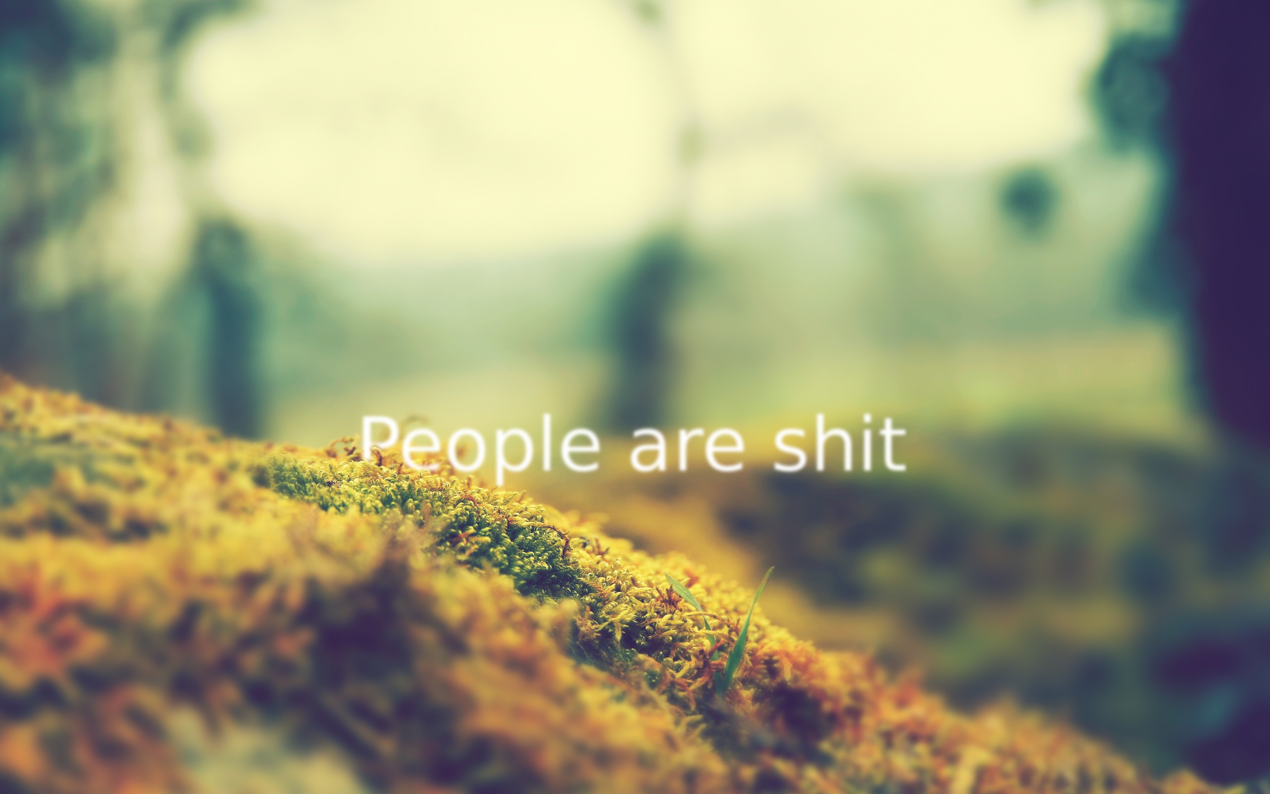 The meme is a picture of a blank, white screen with the text "People are stupid" and "I'm not arguing, I'm just explaining why I'm right".