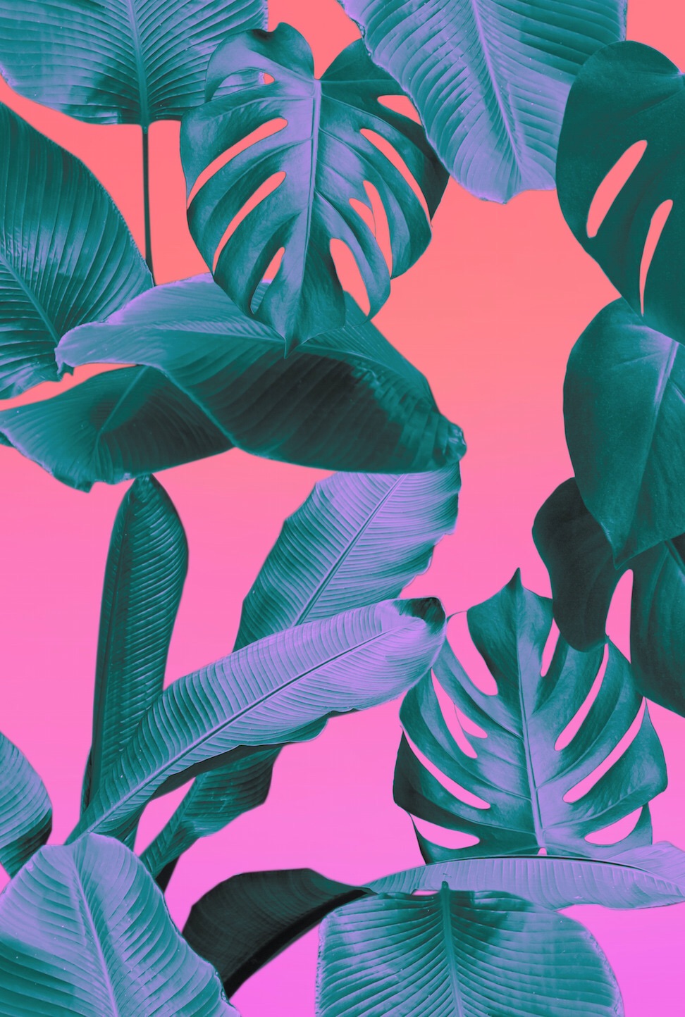The meme is an image of a bunch of plants, specifically a mix of ferns and palms, with a bright and colorful background. The text "I can smell the desperation" is overlaid on the image, implying that the plants are struggling to thrive in a harsh environment.