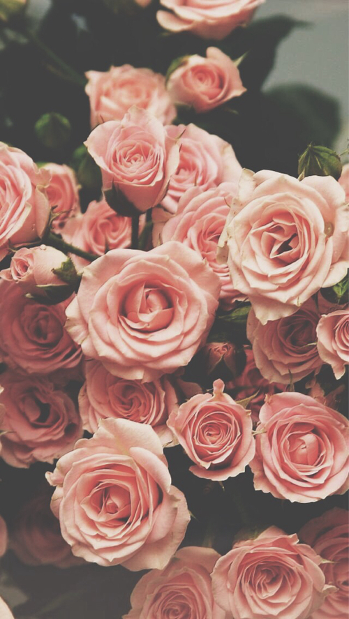 This meme is an image of a bouquet of roses with a red "X" marked through them, implying rejection or disapproval. The text "no" is written above the bouquet.