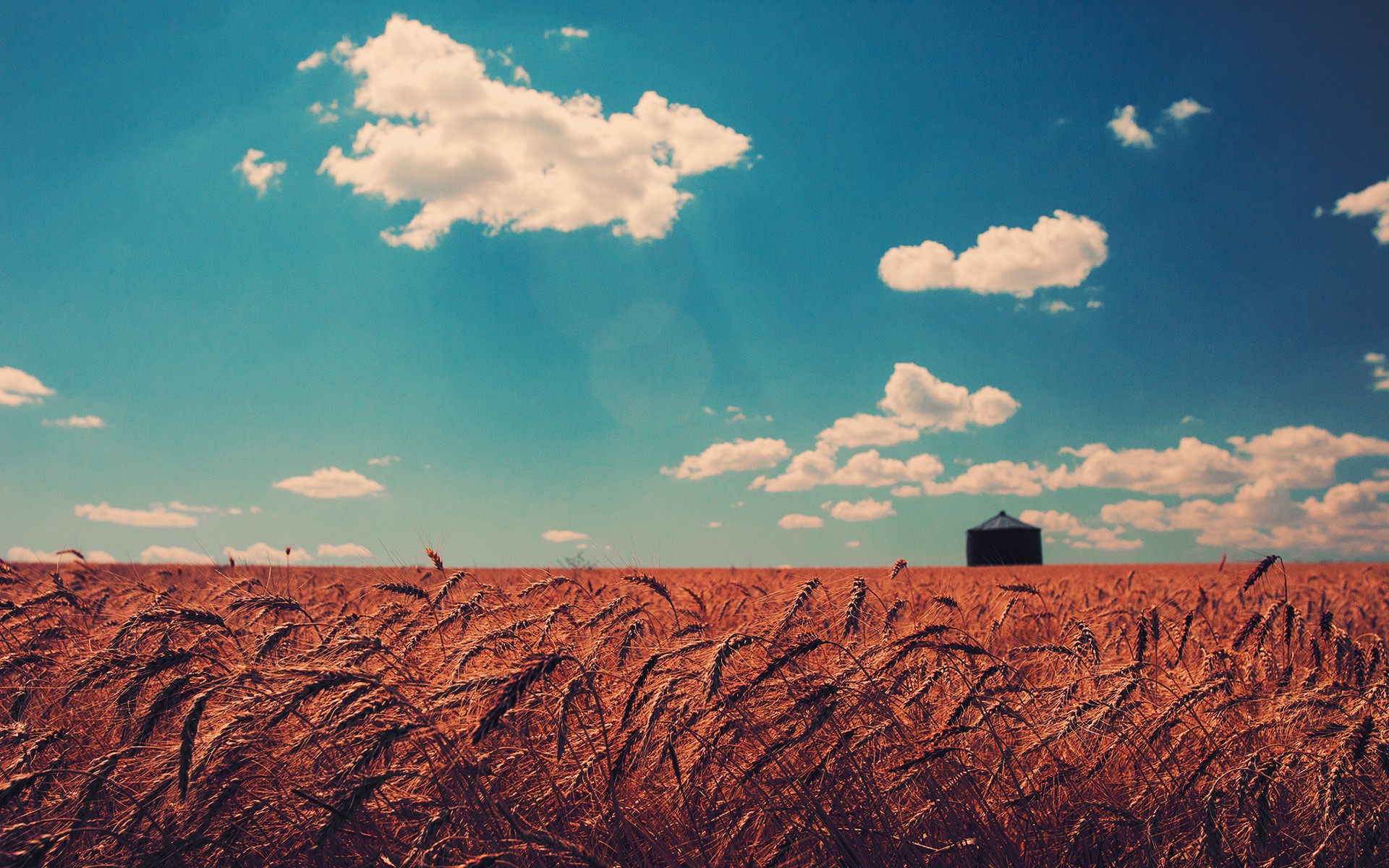This meme is a photo of a field of wheat, with a small, empty space in the middle. The text "I'm not arguing, I'm just explaining why I'm right" is overlaid on the image. The meme is likely being used to express a sense of confidence or superiority in a conversation, with the phrase implying that the speaker is not being argumentative, but rather simply explaining their point of view.