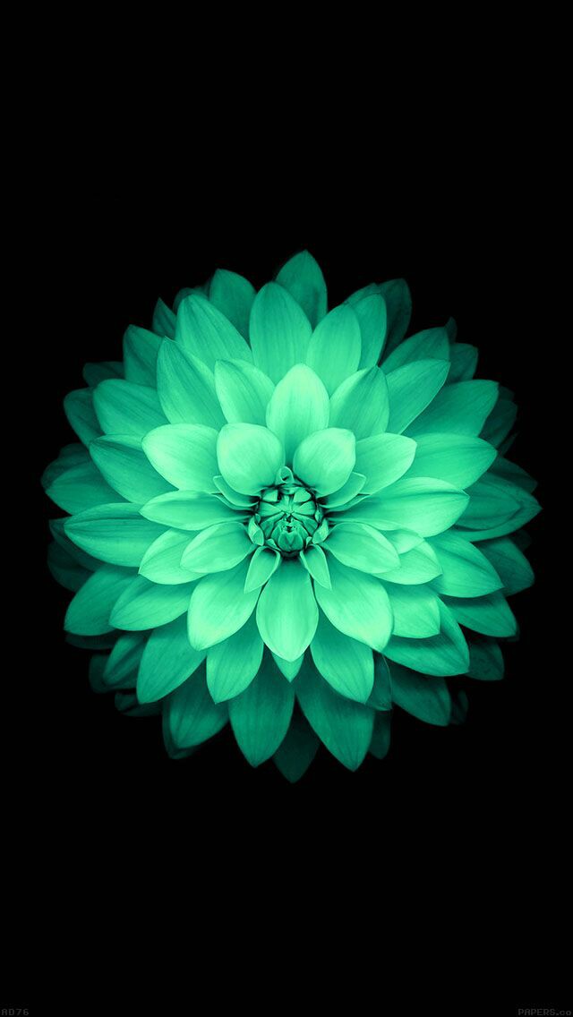 This meme is a picture of a green flower with a surprised expression, likely a face with a raised eyebrow. The text "I CAN SEE MY HOUSE FROM HERE" appears above the flower, suggesting that the flower is commenting on its ability to see its surroundings from a great distance. The meme is likely referencing the classic phrase "I can see my house from here" as a humorous way to express a sense of grandeur or exaggeration.