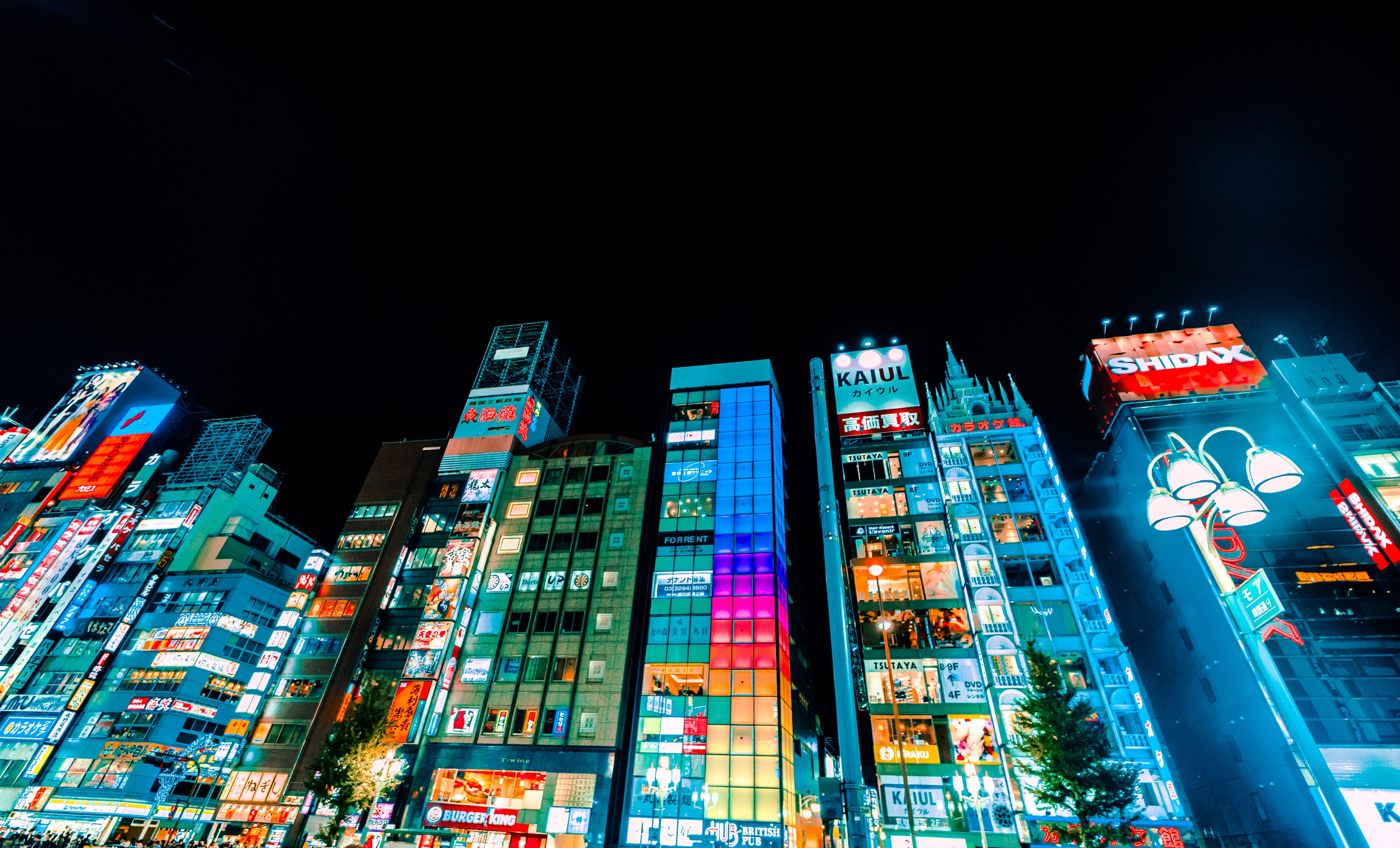 This meme is an image of the Tokyo district of Shinjuku at night, with a sea of neon lights and giant video screens illuminating the buildings. The image is captioned "when you're trying to focus on your work but your brain keeps thinking about how much you want to travel to Tokyo".