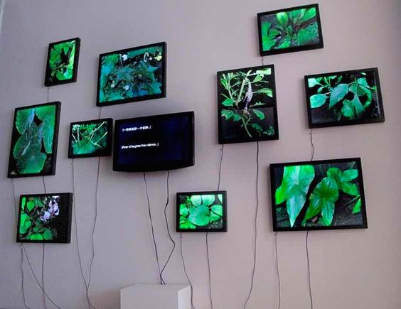 The meme is an image of a TV with multiple screens showing a single image of a forest, with a caption "I'm not arguing, I'm just explaining why I'm right".