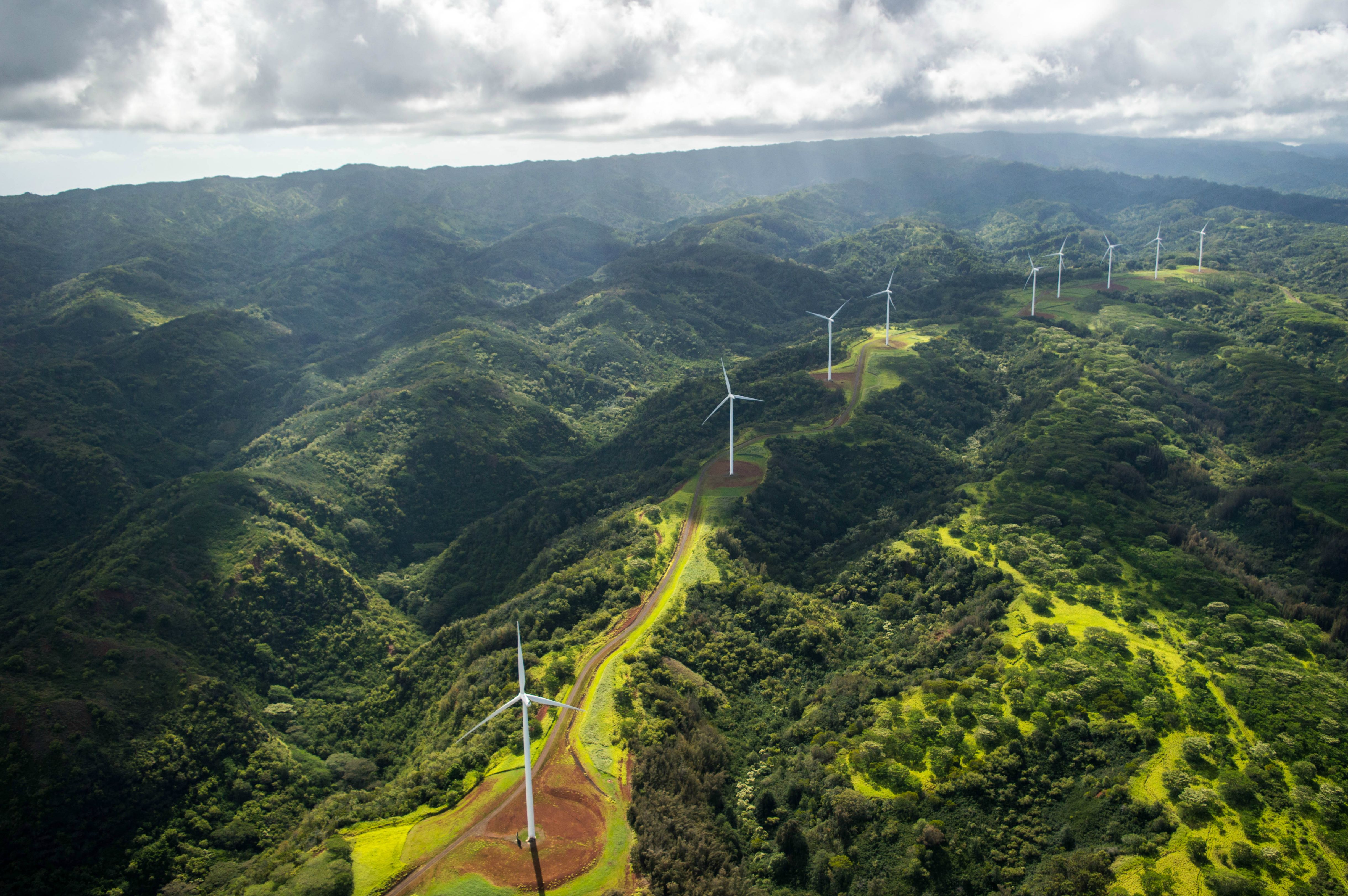 The meme is a photo of a person standing in front of a wind farm, looking out at the turbines with a mixture of frustration and despair. The image is captioned "When you're trying to be eco-friendly but the wind farm is still a huge eyesore".