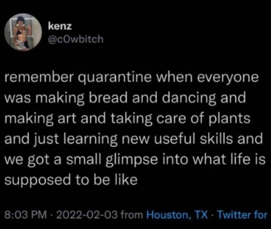This meme is a humorous commentary on the COVID-19 pandemic. The text reads: "remember quarantine when everyone was making bread and dancing and making art and taking care of plants and just learning new skills and we got a small glimpse into what life could be like if we didn't waste time on useless things." The meme is a lighthearted reminder of the creative and productive activities people engaged in during the pandemic, and how they could be applied to everyday life.