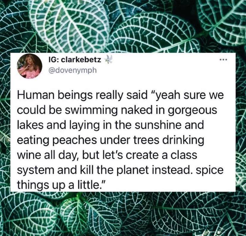 The meme is a humorous commentary on the idea that humans would be more relaxed and carefree if they were living in a natural, unstructured environment. The text reads: "Human beings would be better off naked, eating peaches and drinking wine, in a sunny meadow, with no school, no job, no bills, no stress, just happiness and joy."