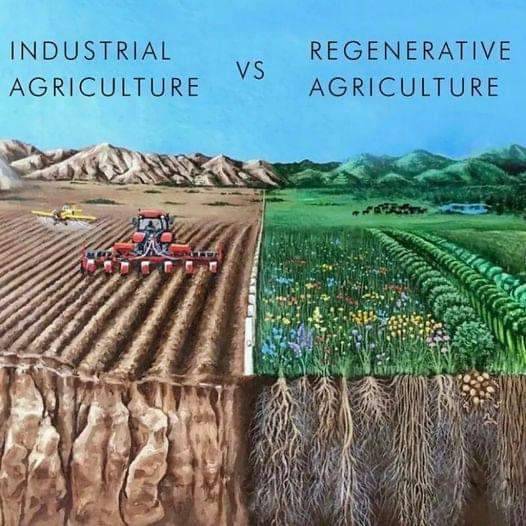 The meme is a split-screen image comparing two different farming methods. On the left, a traditional industrial farm is shown with a tractor, crops, and a large amount of soil being disturbed. On the right, a regenerative farm is shown with diverse crops, a pond, and a thriving ecosystem. The text "Industrial vs Regenerative" appears above the split.