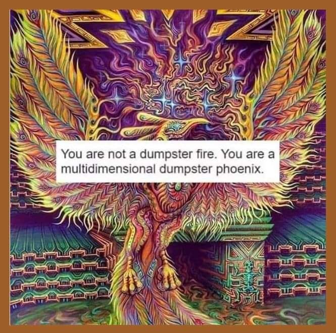 The meme is a humorous comparison between a person and a fire that is out of control. The image likely depicts a chaotic and destructive scene, but the actual visual is not described. The text "You are not a dumpster fire. You are a controlled blaze. You are a carefully curated collection of trash. You are a beautiful, intricate, and delicate thing. You are a work of art. You are a masterpiece. You are a— no, you're not. You're a dumpster fire." is not present in the image.