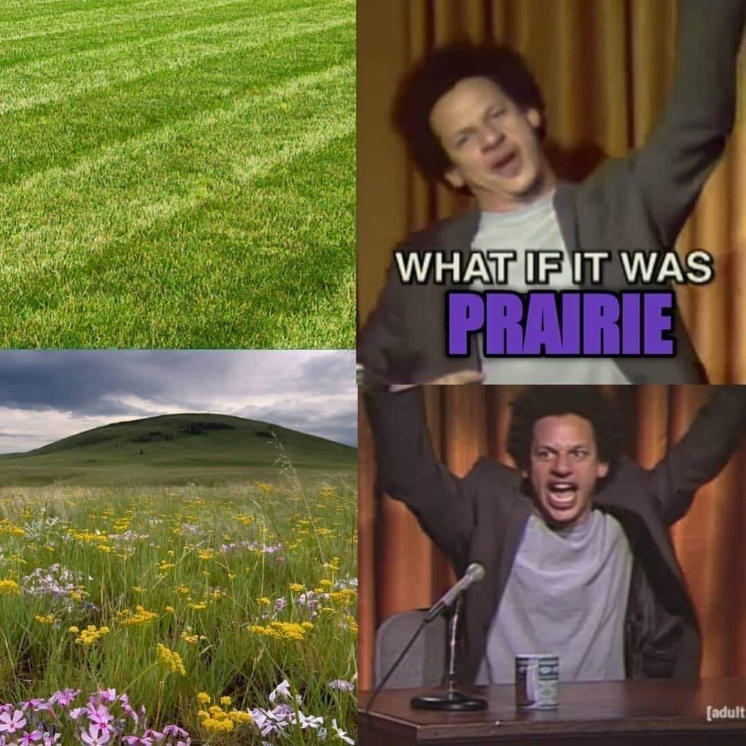 The meme is a humorous take on the classic TV show "Parks and Recreation" and its iconic character Ron Swanson. The image features a photo of a serene, open landscape, with the caption "What if it was all just a prairie?" - a nod to the show's fictional town of Pawnee, which is often referred to as a "prairie" due to its rural, small-town setting. The meme playfully imagines the entire world being a peaceful, rural landscape, rather than the bustling city it often is.