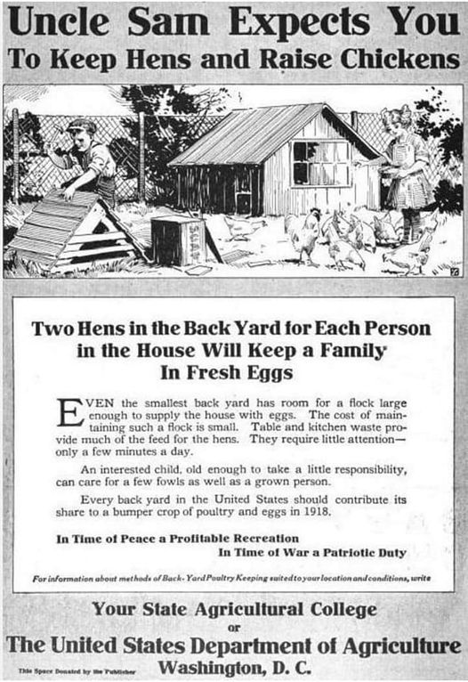 The meme is a humorous image of a cartoon character, Uncle Sam, holding a chicken coop and saying "You're doing it wrong." The text above the image reads "In 1918, Uncle Sam said 'keep 'em coming, we need 'em for the war effort. Today, we say 'keep 'em coming, we need 'em for the...'".