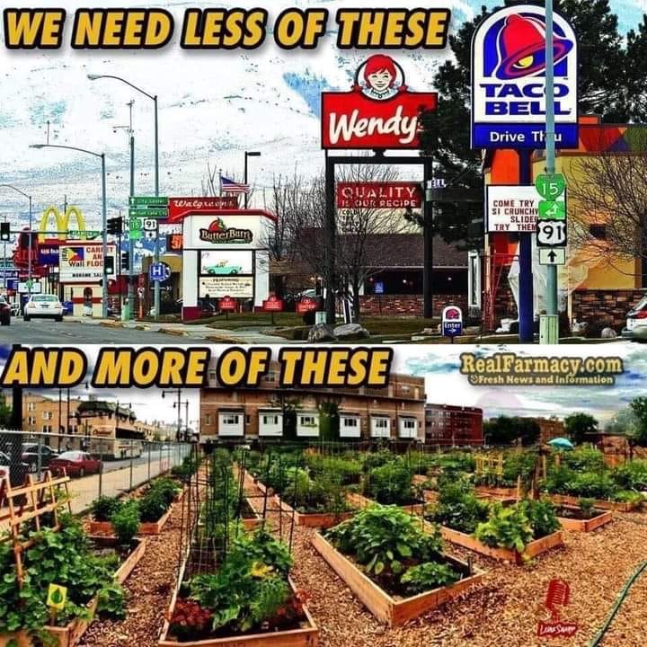 The meme is a split-screen image comparing two contrasting scenes. On the left, it shows a busy, urban area with multiple fast-food chains and a sprawling, industrialized landscape. On the right, it shows a serene, rural area with lush gardens and a community garden. The text at the top reads "We need less of this" and the text at the bottom reads "And more of this".