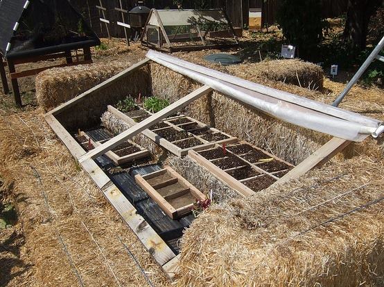 The meme is a photo of a small, enclosed garden or "secret garden" made from a large wooden box or crate, filled with soil and plants. The text "I made a secret garden in my backyard" appears at the top of the image. The garden is surrounded by a wooden frame and has a small roof, creating a cozy and intimate space.