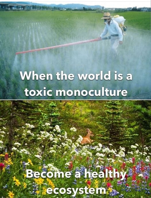 This meme is a humorous commentary on the idea that the world is not a perfect, harmonious place. The image shows a person spraying a weed killer in a field, with the caption "When the world is a toxic monoculture" and the contrast "Become a healthy ecosystem". The meme is poking fun at the idea that even in a supposedly natural and peaceful environment, there can be underlying issues that need to be addressed.
