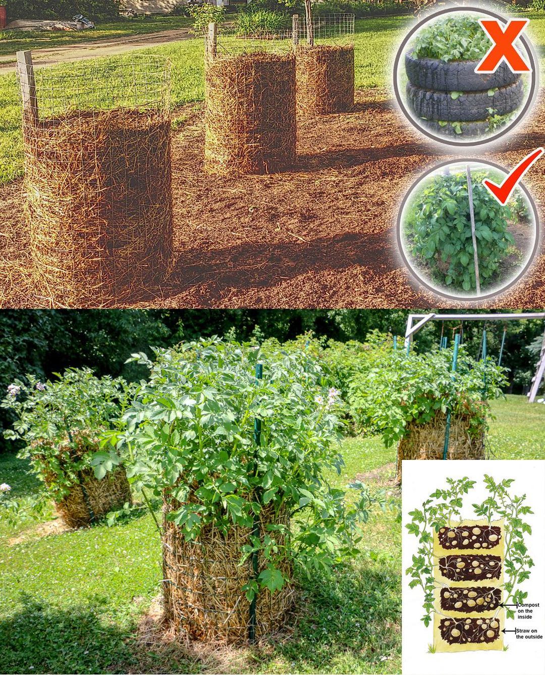 The meme is a humorous image that juxtaposes two seemingly unrelated scenes: a garden with a "no trespassing" sign and a person's backyard with a garden. The image is captioned "I have a garden in my backyard. I have a garden in my backyard." The meme is likely poking fun at the idea of having a garden in a backyard, implying that it's a common or expected thing.