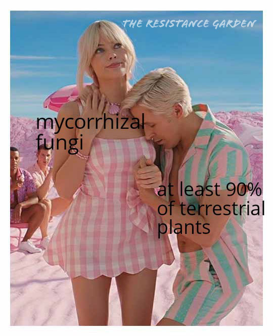 This meme is a humorous image of a romantic couple from the movie "Barbie" (2023) in a compromising position. The text "I'd rather be with mycorrhizal fungi" is written above them, implying that the speaker would rather be with a type of fungi that forms symbiotic relationships with plants, rather than with the person they're with. The text "than be with you" is written below the couple, implying that the speaker finds the person they're with to be unappealing.