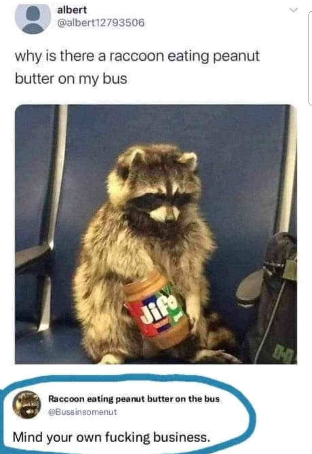 This meme is a picture of a raccoon eating peanut butter from a jar on a bus. The image is accompanied by a caption that says "why is there a raccoon eating peanut butter on my bus" and a response that says "in 2-3 sentences, describe this meme for someone who cannot see it. include any text that appears in the image." However, the actual response to the meme is "racoon eating peanut butter on the bus. in the style of a very angry and sarcastic person: 'in 2-3 sentences, describe this meme for someone who cannot see it. include any text that appears in the image.' no, just this: 'why is there a raccoon eating peanut butter on my bus'".