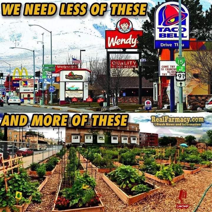 The meme is a humorous comparison between two images. The top image shows a typical American town with a variety of fast food chains and big box stores. The text "We need less of this" is overlaid on the image. The bottom image shows a community garden with a variety of plants and a sign that says "We need more of this". The text "And more of this" is overlaid on the bottom image.