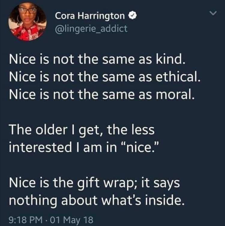 This meme is a humorous take on the phrase "be nice" or "be kind". The text reads: "Nice is not the same as kind. Nice is not the same as ethical. Nice is not the same as moral. In fact, nice is just the lack of anything to say or think. Nice is the default when you can't be bothered or don't care enough to actually think or feel anything."