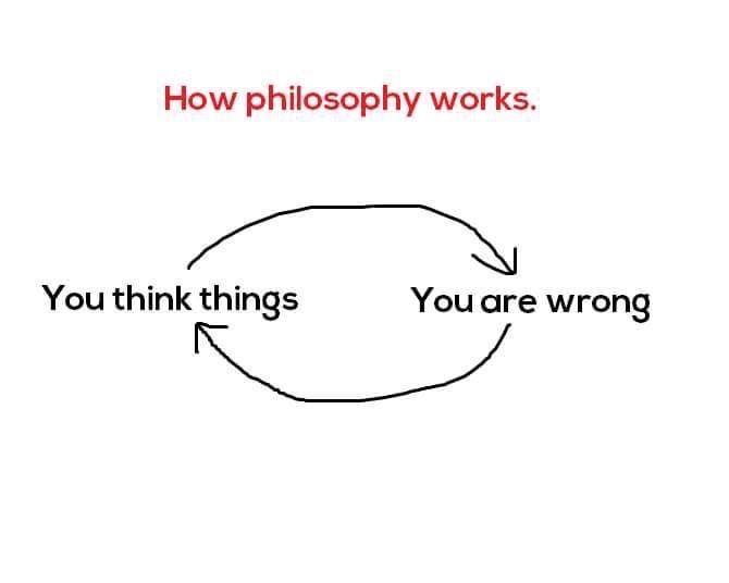 This meme is a simple illustration of a circle with a single arrow pointing from "You think things" to "You are wrong". The text at the top of the image reads "How philosophy works", implying that the process of thinking and understanding is inherently flawed and that our perceptions are often incorrect.