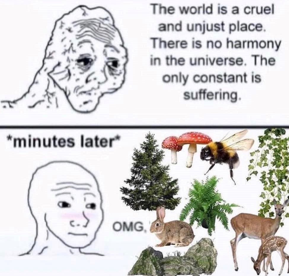 This meme is a humorous comparison between the natural world and the human experience of suffering. The top panel features a person looking dejected and saying "the world is a cruel and unjust place, but at least there's no harmony in the universe". The bottom panel shows a series of images of animals and plants, including a rabbit, a tree, a bee, and a flower, with the text "but...". The implication is that even in a world of suffering, there is still beauty and harmony to be found in nature.