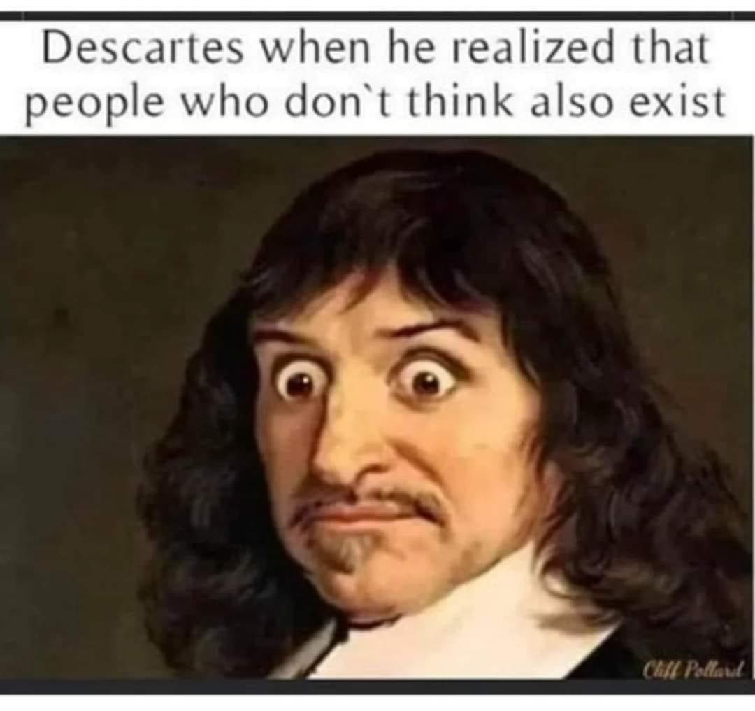 The meme is an image of a person with a shocked expression, captioned "Descartes when he realized people who don't think, also exist". The image is a play on the famous philosopher René Descartes' quote "I think, therefore I am", but in this case, it's a humorous take on the idea that even people who don't think or don't exist, also exist.