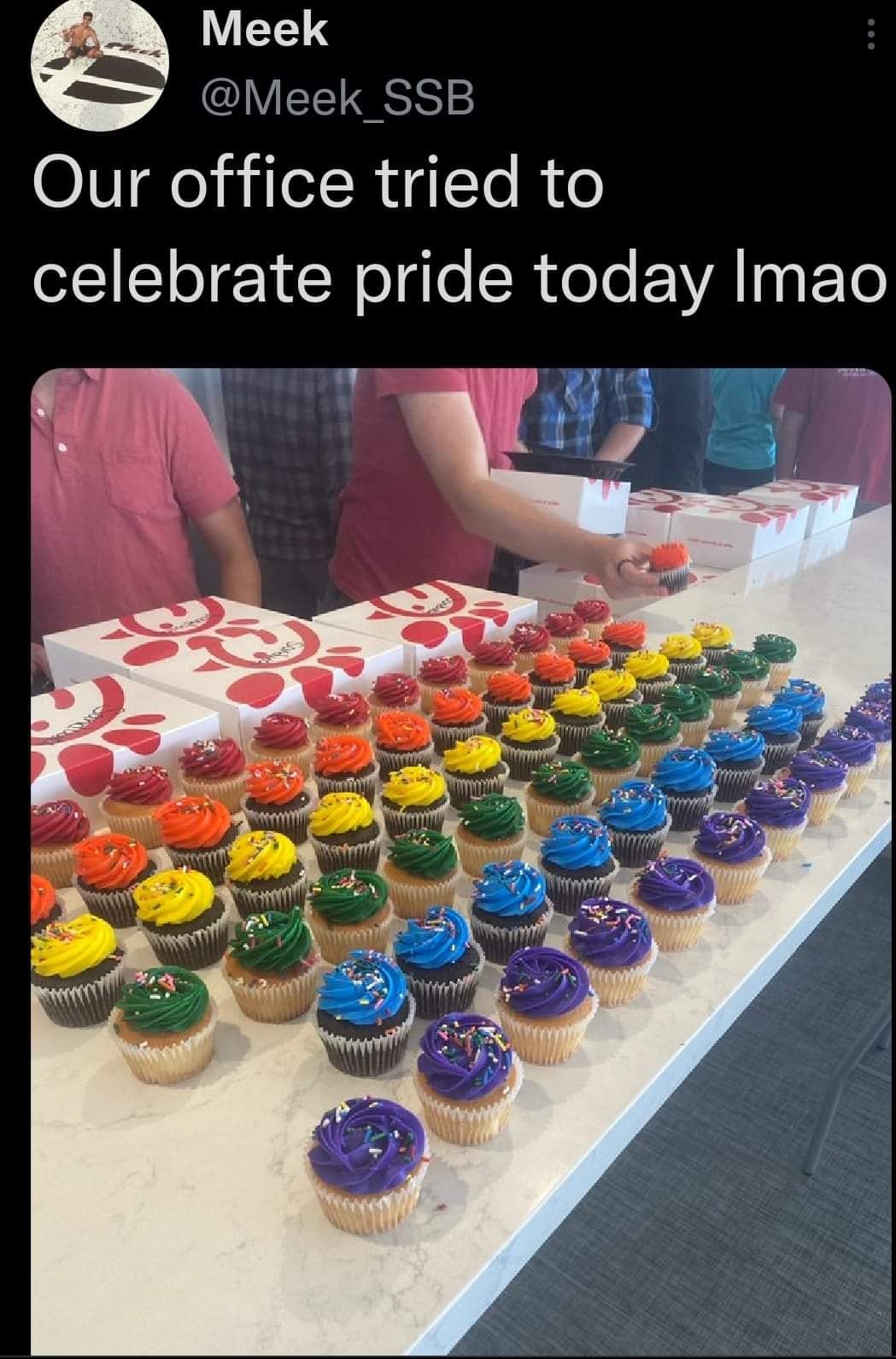 This meme is a screenshot of a Twitter post from a user named "Meek" (not "Meek Mill", a rapper) with a photo of a table filled with cupcakes. The text above the photo reads: "Our office tried to celebrate Pride Month with cupcakes but it looks like they just got a bunch of plain white cupcakes and dyed them all rainbow colors instead of getting actual Pride Month cupcakes."