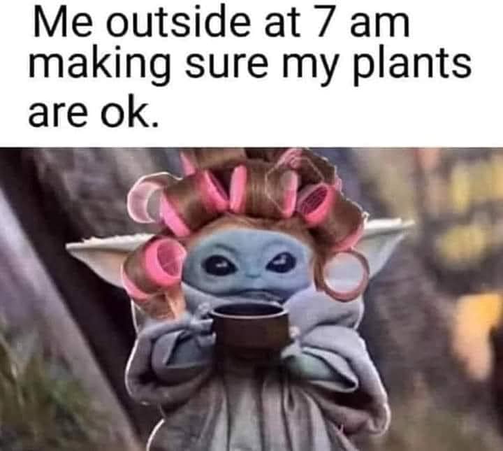 The meme features a character from the Star Wars franchise, Grogu (also known as Baby Yoda), in a humorous and relatable situation. The image shows Grogu sitting in a chair, wearing a bathrobe and a hair dryer, with a cup of coffee in hand. The text above the image reads: "Me when I wake up and realize I'm still alive."